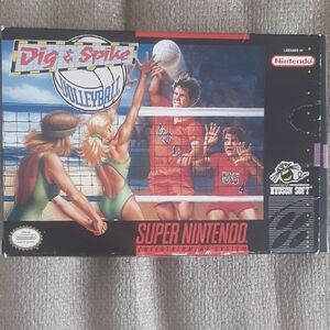 Nintendo Dig & Spike Video Game